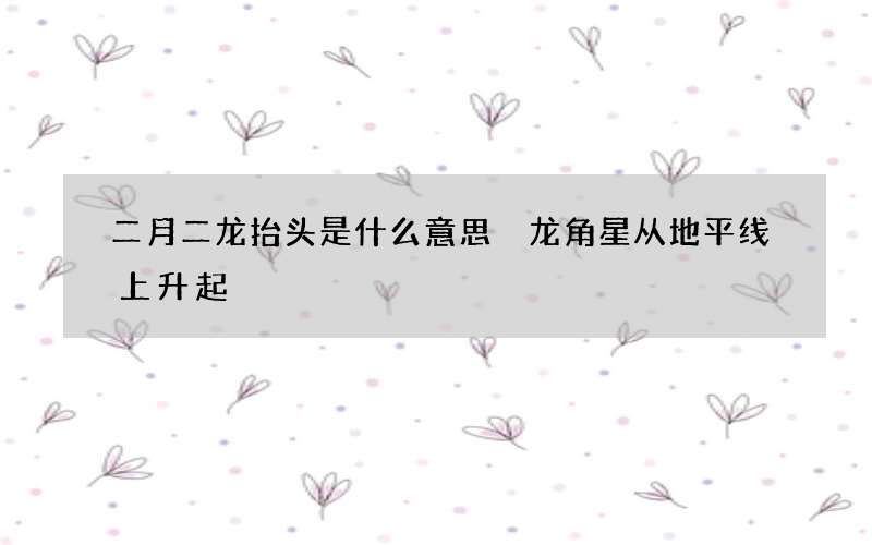 二月二龙抬头是什么意思 龙角星从地平线上升起